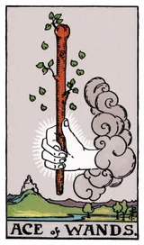 Ace of Wands Tarot card