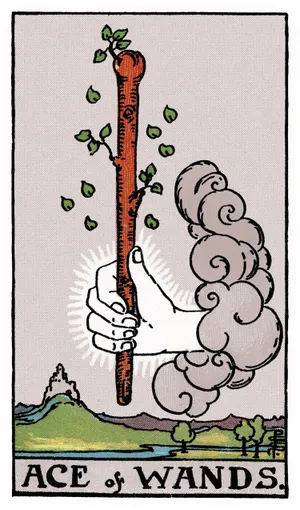 Ý nghĩa lá bài Ace of Wands