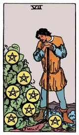 Seven of Pentacles Tarot card